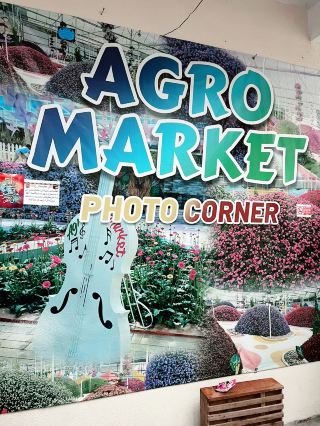 “Agro Market Wonderland: Cactus, Flora & Fresh Farm Delights”