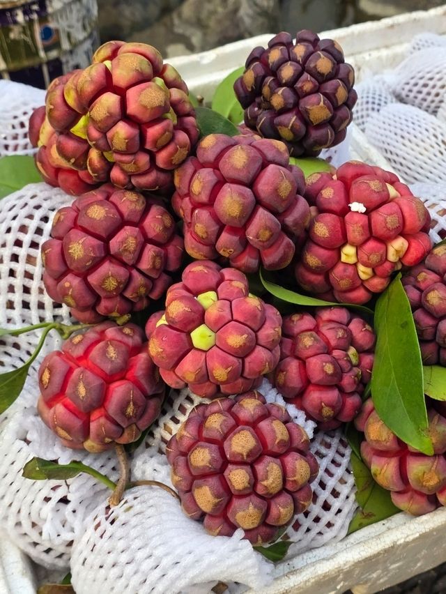 เที่ยวลี่เจียง กับ Trip.com เที่ยวลี่เจียง กับ Trip.com