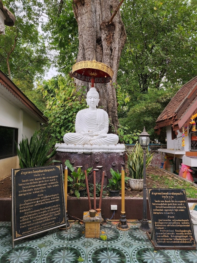 ang Mai is basically temple heaven—seriously, there are sooo many temples here! 😆 I’ve tried my best to hit them all, but honestly, it’s an endless adventure. Even after visiting twice, I still haven’t checked every temple off my list. Guess I need a few more trips to make it happen!

If you’re planning to unleash your inner explorer, here are a few temple gems I recommend: 
· Wat Phra That Doi Suthep (address: 9 หมู่ 9 Mueang Chiang Mai District, Chiang Mai 50200, Thailand). Open daily 6 AM–8 PM. The view up here is seriously next-level! 🌄
· Wat Chedi Luang (address: 103 Phra Pok Klao Rd, Phra Sing, Chiang Mai 50200, Thailand). Open 6 AM–5 PM. The ancient vibes are sooo cool.
· Wat Phra Singh (address: 2 Saml