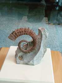 Shanghai Natural History Museum