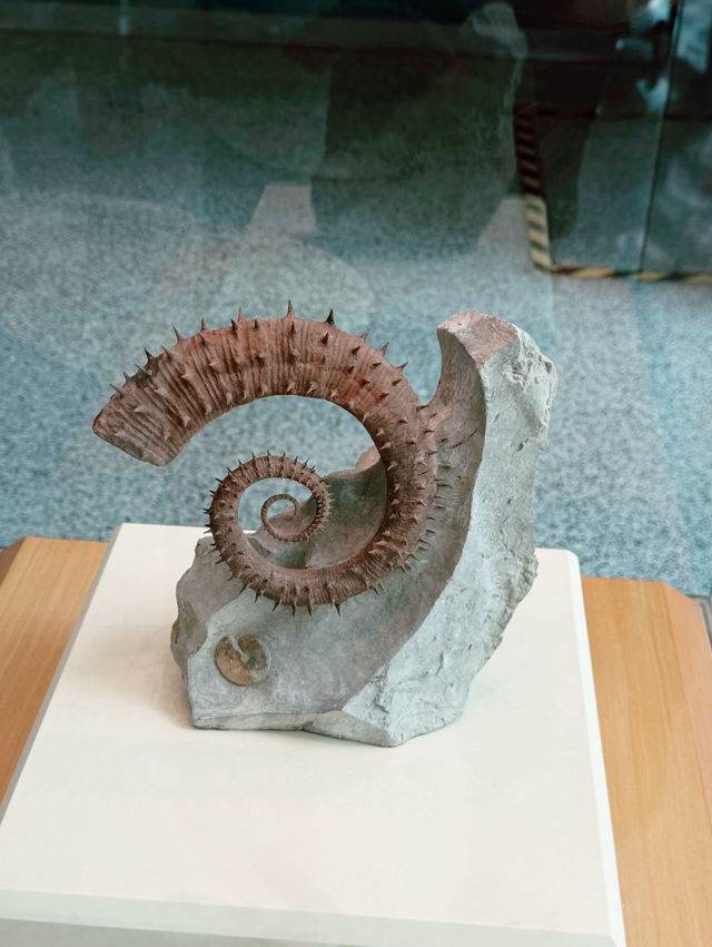 Shanghai Natural History Museum Shanghai Natural History Museum