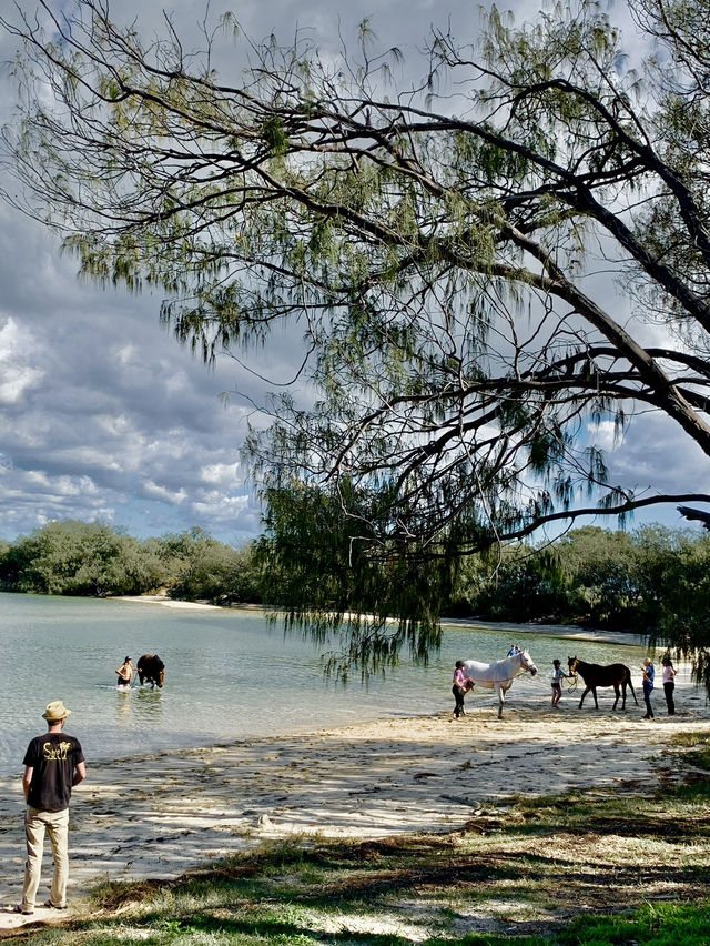 🇦🇺Gold Coast, Brisbane & Beyond: The 7-Day Queensland Explorer