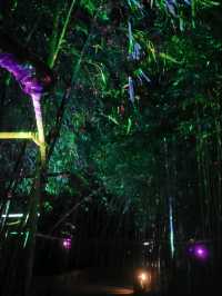 Night Magic at Ulsan’s Taehwagang National Garden 🌈✨