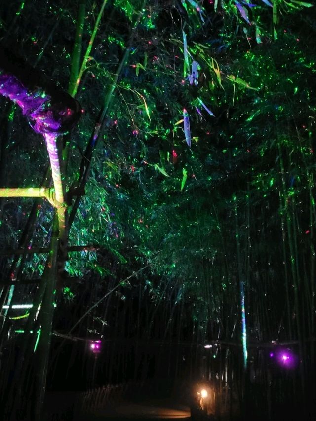 Night Magic at Ulsan’s Taehwagang National Garden 🌈✨