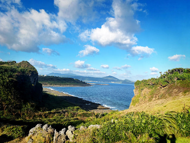 🎄 Festive Stroll: Recharge at Maobitou Park 🎄 Festive Stroll: Recharge at Maobitou Park