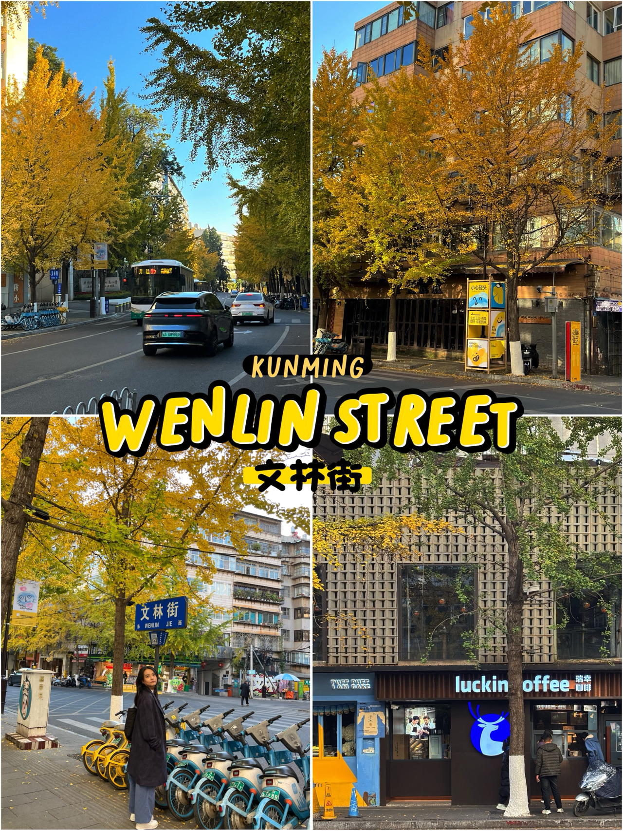 🌼 Wenlin Street (文林街 / Wenlin Jie)
📍 Wuhua District, Kunming, Yunnan, China
🕓 December 2025

This street is filled with cafes, bars, restaurants, international eateries (including Thai cuisine), bookstores, and old buildings. Narrow alleys invite you to explore, dine, and enjoy the preserved traditional style. Being close to the university, it offers a laid-back, youthful vibe typical of student life.

⭐ Highlight: Late November to December is the most beautiful time to visit this street. The golden-yellow ginkgo trees lining the road create a stunning scene. The weather starts to cool, making it a perfect spot for a leisurely stroll all day long.

📝 To avoid crowds, visit before 10:00 AM (though most restaurants and cafes may not be open yet).

🚕 Located in the city center, near Green Lake (Cuihu Park) and Dongfeng West Road, the street is not close to a subway station but is easily accessible by taxi or Didi, with a short travel time.