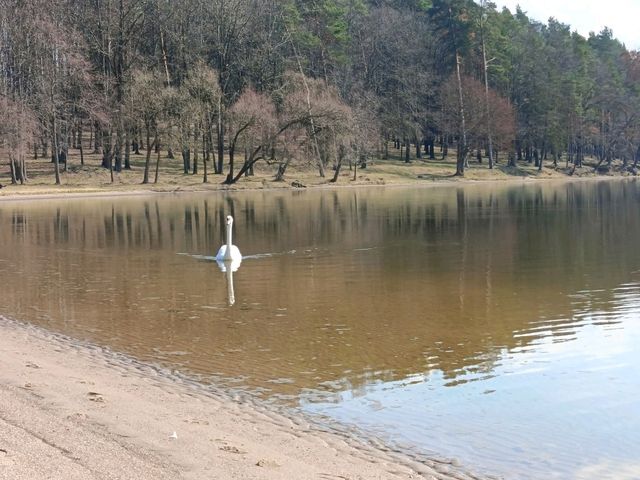 Kaunas is underated Kaunas is underated