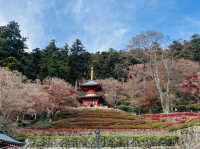 勝尾寺 応頂山 勝尾寺