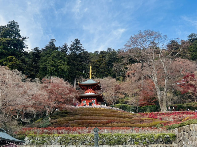 勝尾寺 応頂山 勝尾寺 勝尾寺 応頂山 勝尾寺