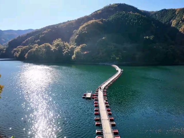 東京小眾打卡地｜漫步奧多摩湖上的夢幻浮橋🌉