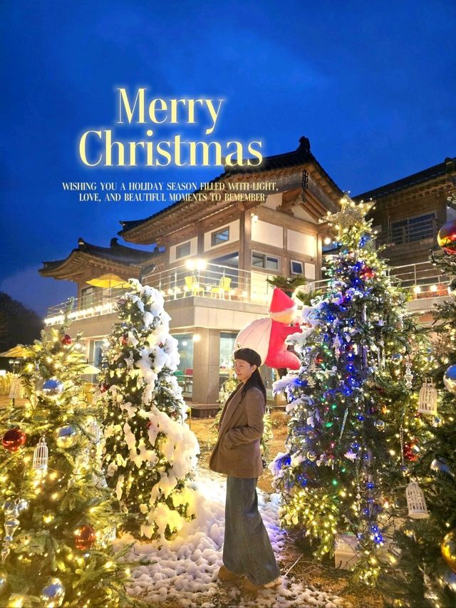 매일 눈내리는 경주 크리스마스 데이트코스🎄 매일 눈내리는 경주 크리스마스 데이트코스🎄