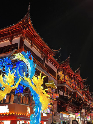 ✨ Yuyuan Garden at Night: A Magical Shanghai Light Wonderland ✨