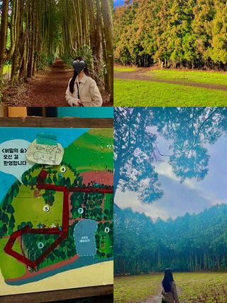 🌿💚 제주 야외데이트 명소, 비밀의숲에서 초록 힐링 산책 🌳✨  