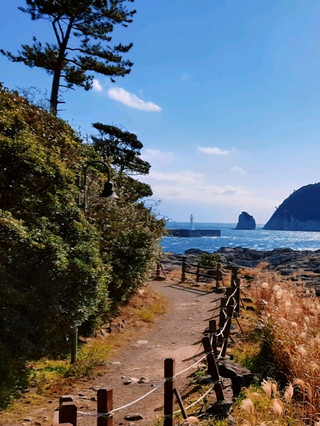 제주 바다 위 작은 섬🌊 도보로 건너는 바다길