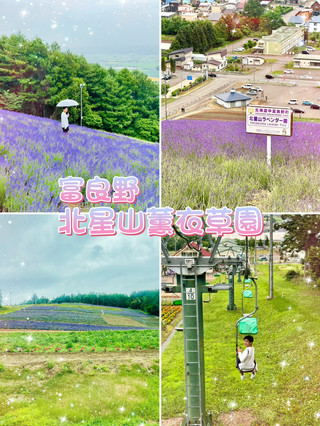 北海道富良野北星山薰衣草園＆單人纜車：空中紫色夢幻之旅