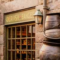 Harry Potter at Universal Studios Japan in Osaka 🪄
