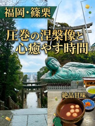 福岡の圧巻パワースポット巡り旅🌿