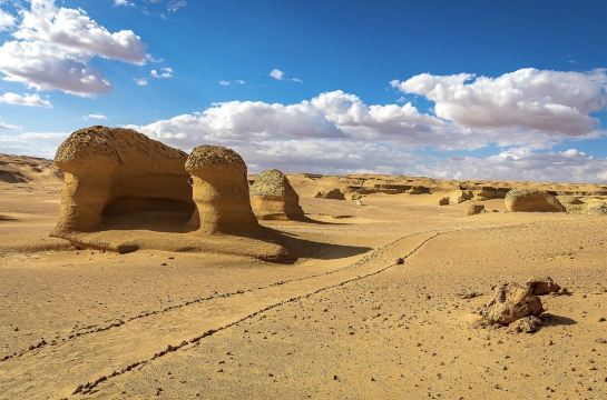 Wadi Al-Hitan, Egypt 🇪🇬 — The Desert Where Whales Once Walked!