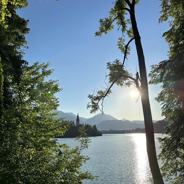 Zen time in Lake Bled