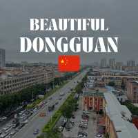 A Business Trip with Leisure in Dongguan, China
