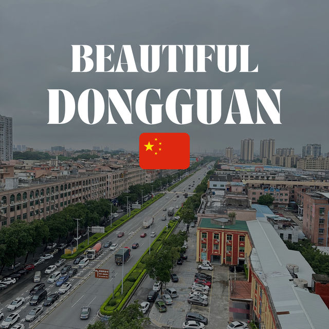 A Business Trip with Leisure in Dongguan, China