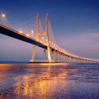 Rama VIII Bridge: Bangkok's Architectural Marvel