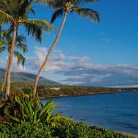 My curated list for Maui 