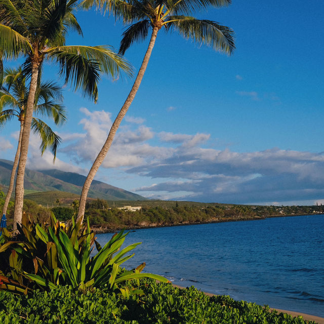 My curated list for Maui 