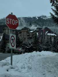 Whistler vibe