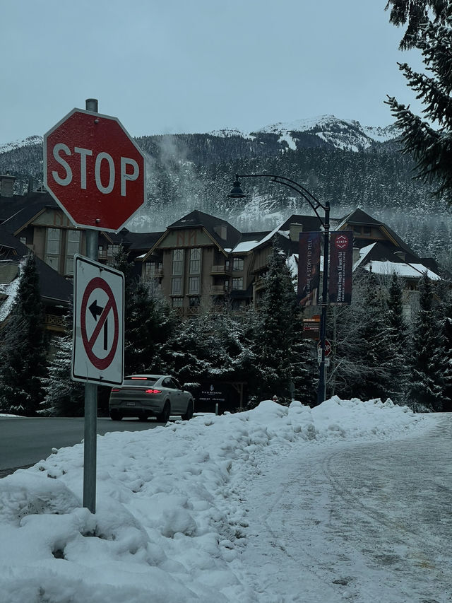 Whistler vibe