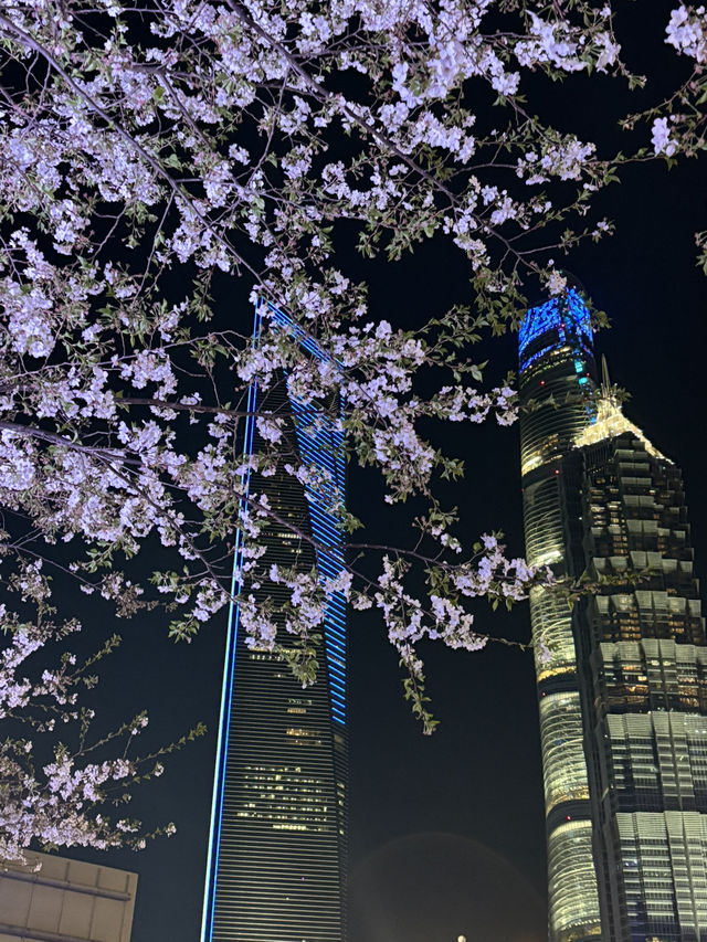 Spring Magic in Shanghai: Best Cherry Blossom Spots You Can’t Miss! 🌸✨