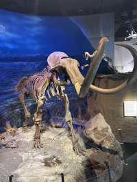 🦕恐竜の聖地！カナダ🇨🇦【ロイヤル・ティレル博物館】