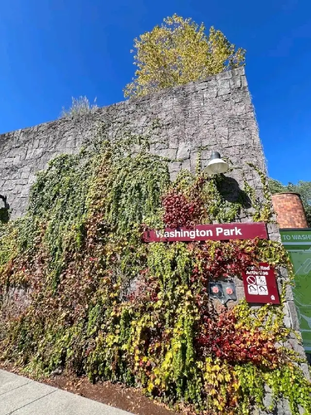 Washington Park