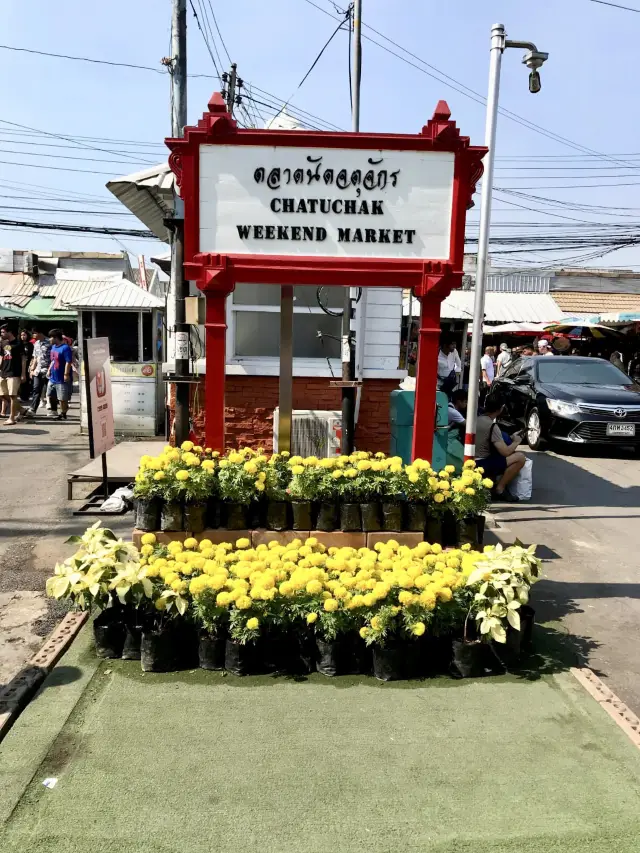 Chatuchak Weekend Market, Bangkok 🇹🇭