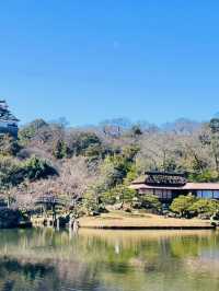 【滋賀県/玄宮園】
