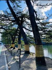 【滋賀県/玄宮園】
