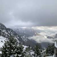 Chasing dreams in a winter wonderland