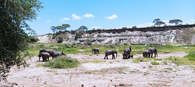 5  Days Tanzania wildlife safari 