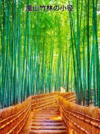 《嵐山竹林小徑》🎋京都不能錯過的景點🎋