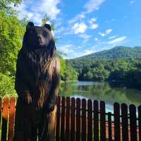 Bear Salt Lake