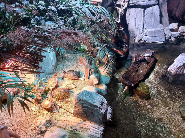 Bioparc Acuario de Gijón 🇪🇸