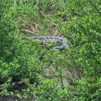 Tamarindo: the Jewel of Costa Rica’s pacific coast 