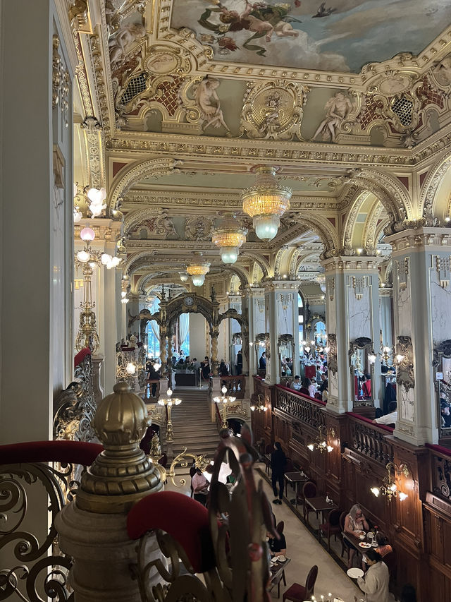 Most beautiful café in the world!😍