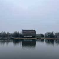 Eindhoven: Where Innovation Meets Art
