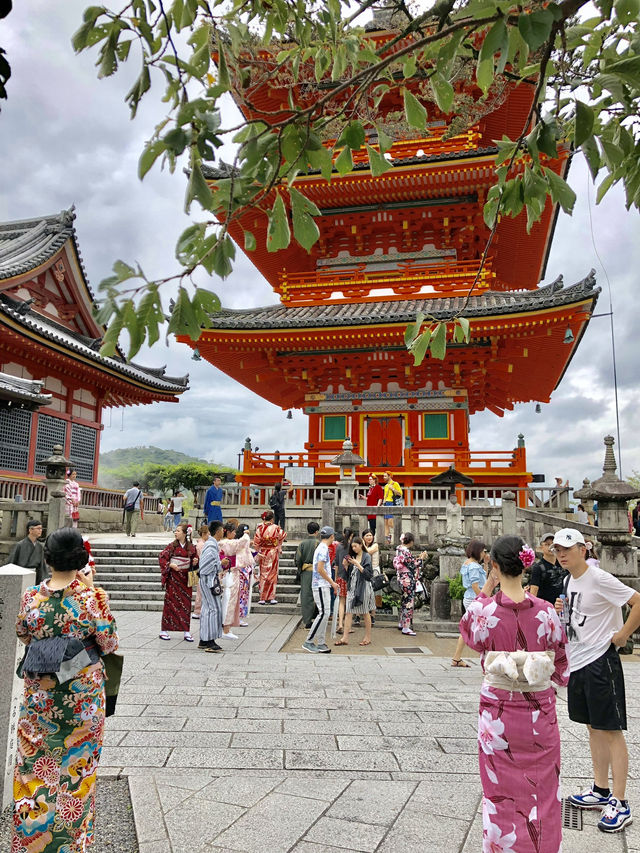 KYOTO: 5 ICONIC HIGHLIGHTS THAT DEFINE JAPAN
