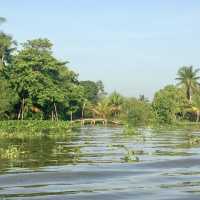 Lost in the Mekong Delta