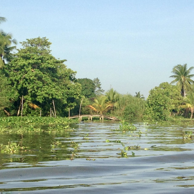 Lost in the Mekong Delta
