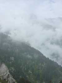 Triund Hike, Dharamshala