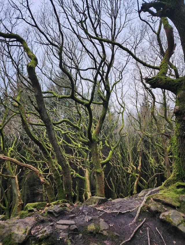 영국 국립공원 Peak District 