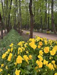 A perfect place for spring walks in Moscow